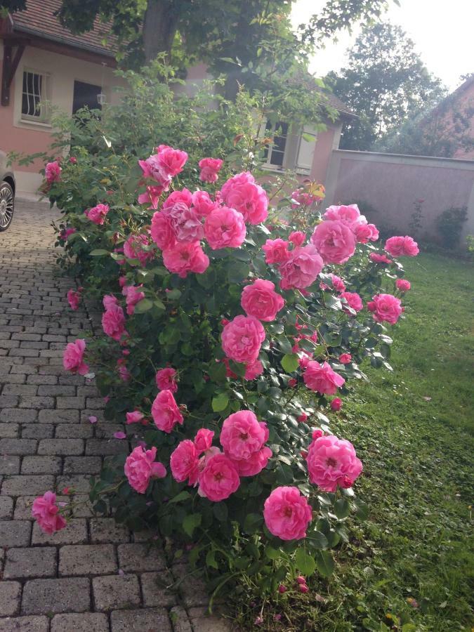Rose Garden Studio 吉维尼 外观 照片