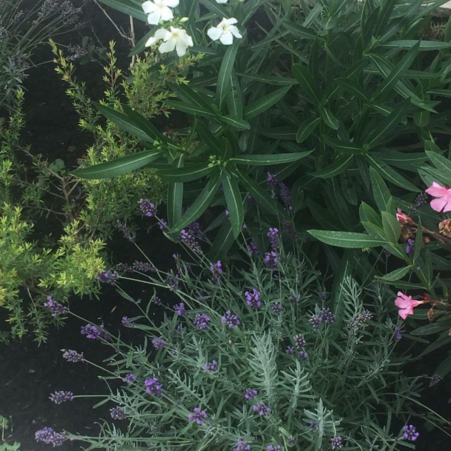 Rose Garden Studio 吉维尼 外观 照片
