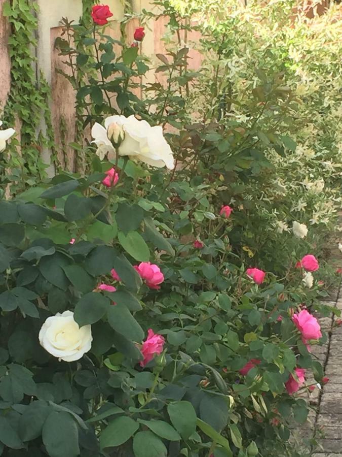 Rose Garden Studio 吉维尼 外观 照片
